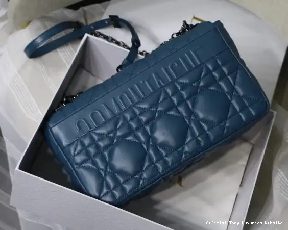Tony Luxuries CARO diro LARGE BAG 0610